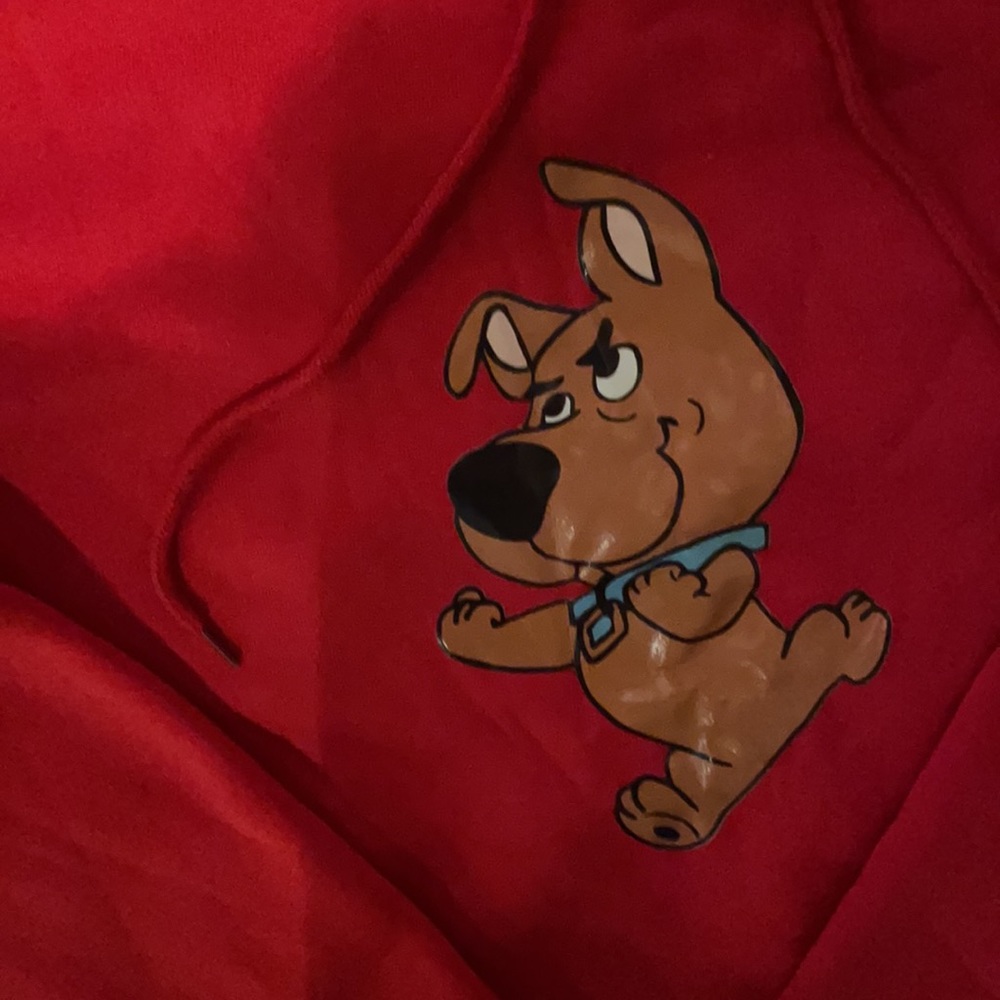 Matching Dog Sweaters - Picture 2 of 4
